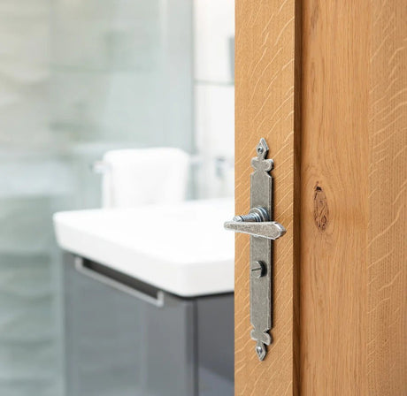 Door Handles on Backplate - Trade Door Handles
