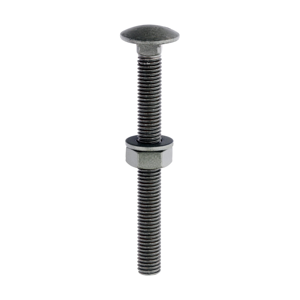 This is an image of Timco - Carriage Bolts Hex Nuts & Form A Washers - Dome - Exterior - Green M10 x 100mm - (10 PCS Bag) 10100INCB