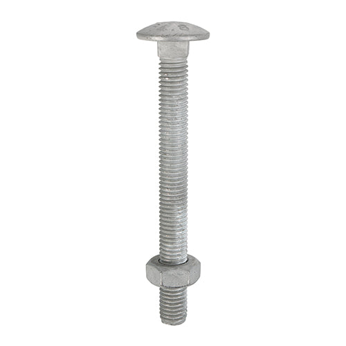 This is an image of Timco - Carriage Bolts & Hex Nuts - Hot Dipped Galvanised M12 x 200mm - (10 PCS Box) 12200CBG