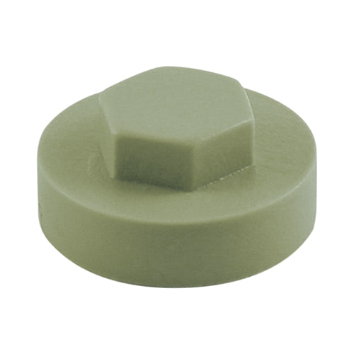 This is an image of Timco - Hex Head Cover Caps - Meadowland 16mm - (1000 PCS Bag) 1612B17CAP