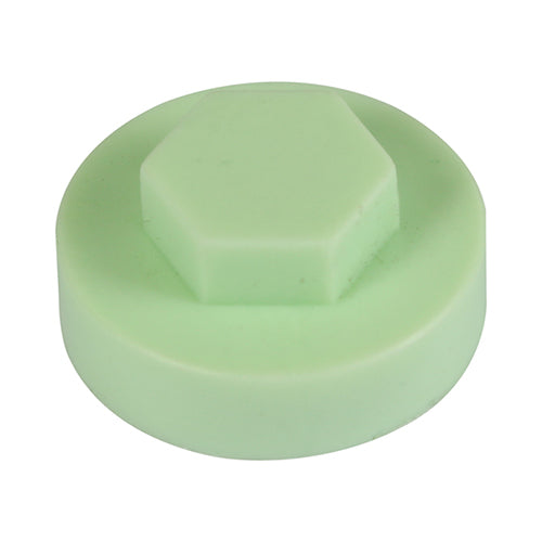 This is an image of Timco - Hex Head Cover Caps - Eau de Nil 16mm - (1000 PCS Bag) 1614E49CAP