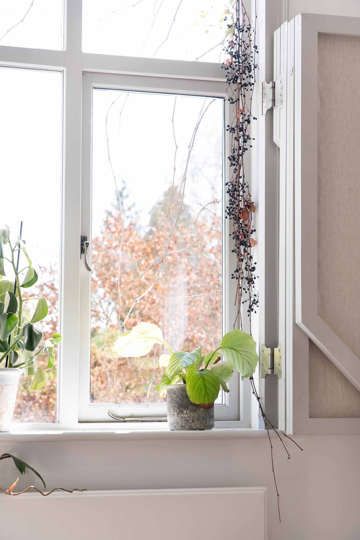 From The Anvil - Pewter 4" x 4" x 6" Parliament Hinge (pair) ss | Sku. 33048 | Trade Door Handles.