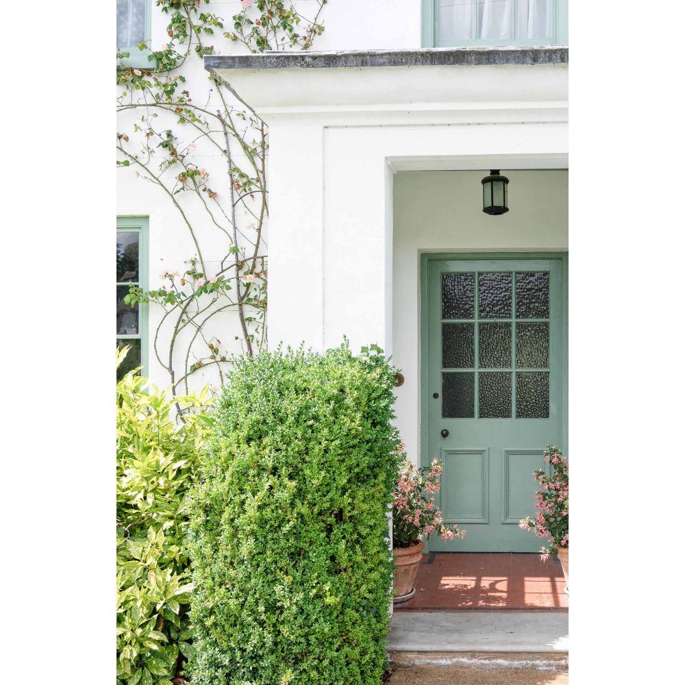 From The Anvil - Black Oval Mortice/Rim Knob Set | Sku. 33251 | Trade Door Handles.