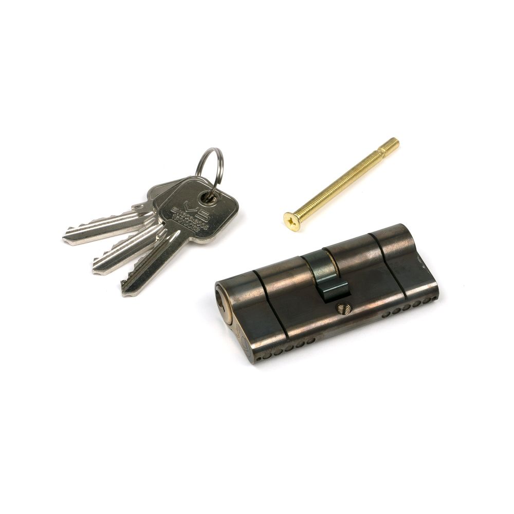 From The Anvil - Aged Brass 35/35 5pin Euro Cylinder | Sku. 45807 | Trade Door Handles.