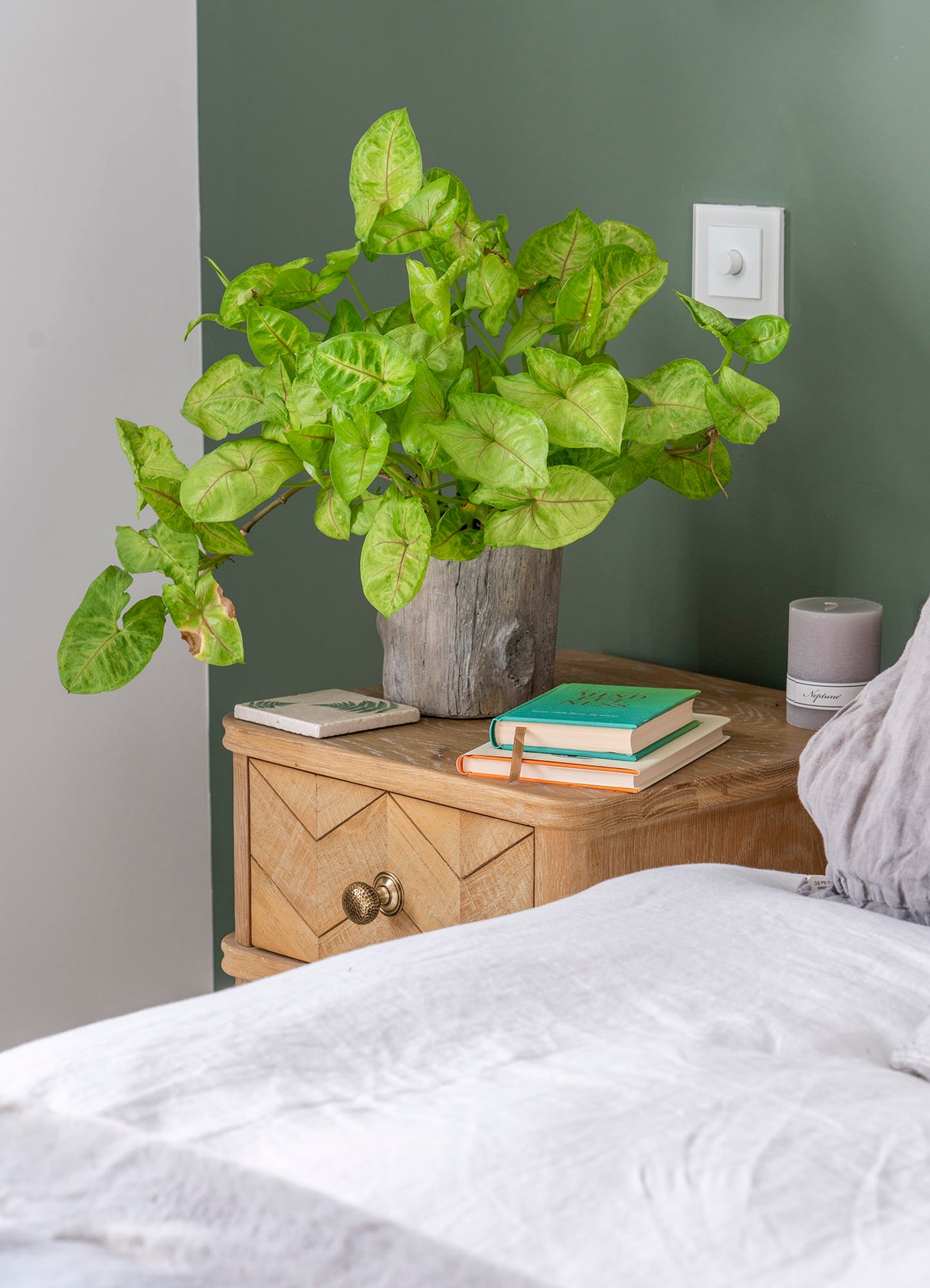 From The Anvil - Aged Brass Hammered Mushroom Cabinet Knob 32mm | Sku. 46021 | Trade Door Handles.