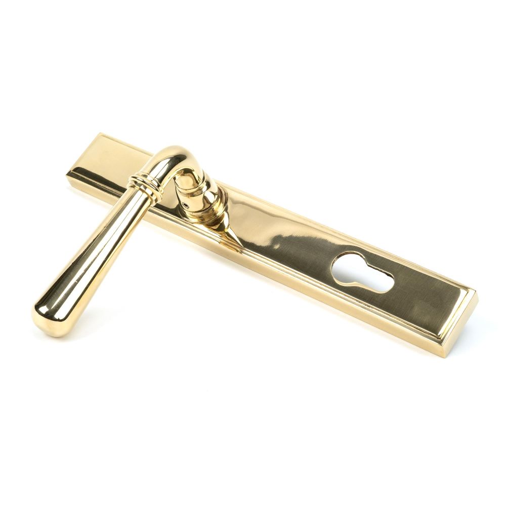 From The Anvil - Polished Brass Newbury Slimline Lever Espag. Lock Set | Sku. 46529 | Trade Door Handles.