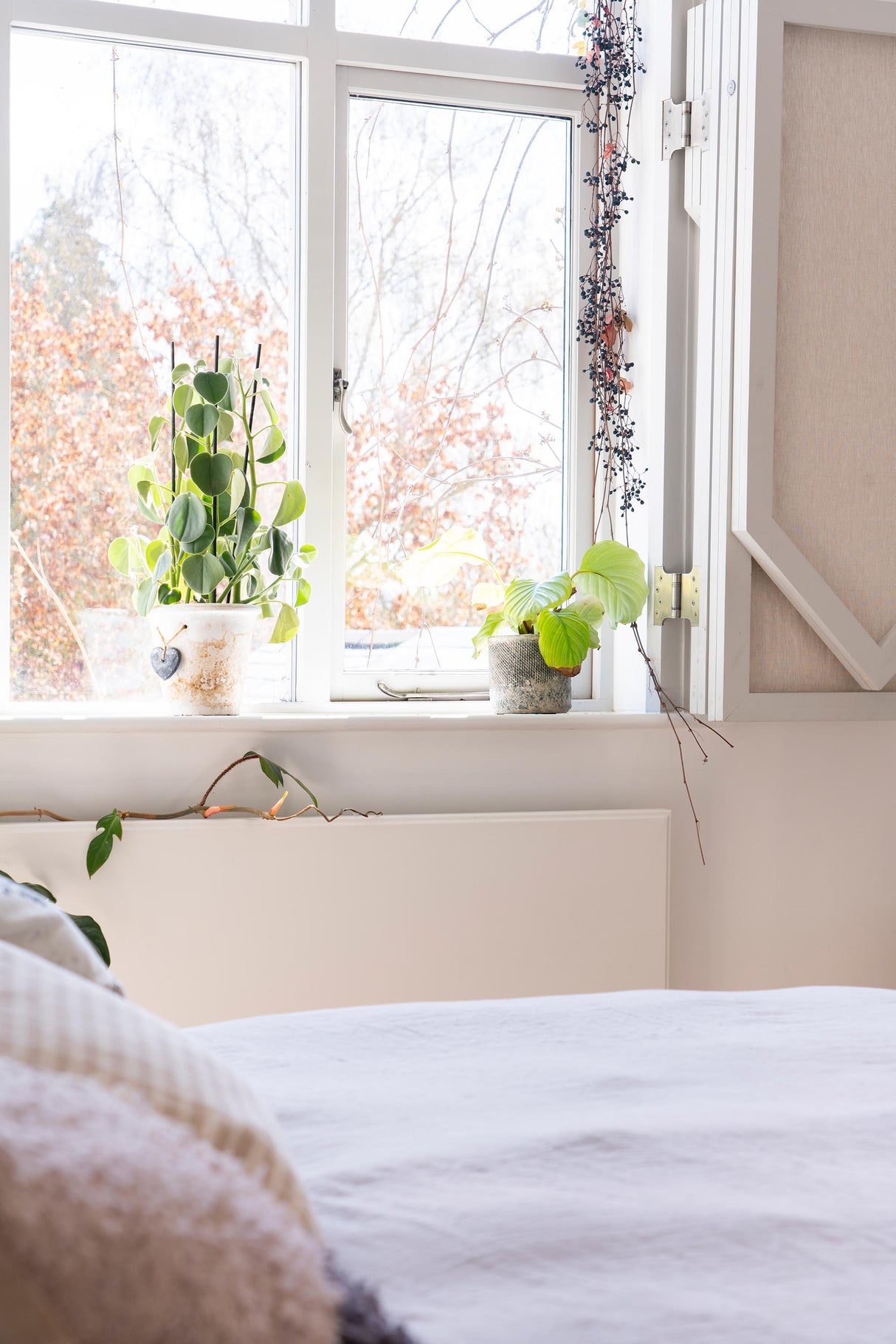 From The Anvil - Satin SS 4" x 3" x 5" Parliament Hinge (pair) | Sku. 49567 | Trade Door Handles.