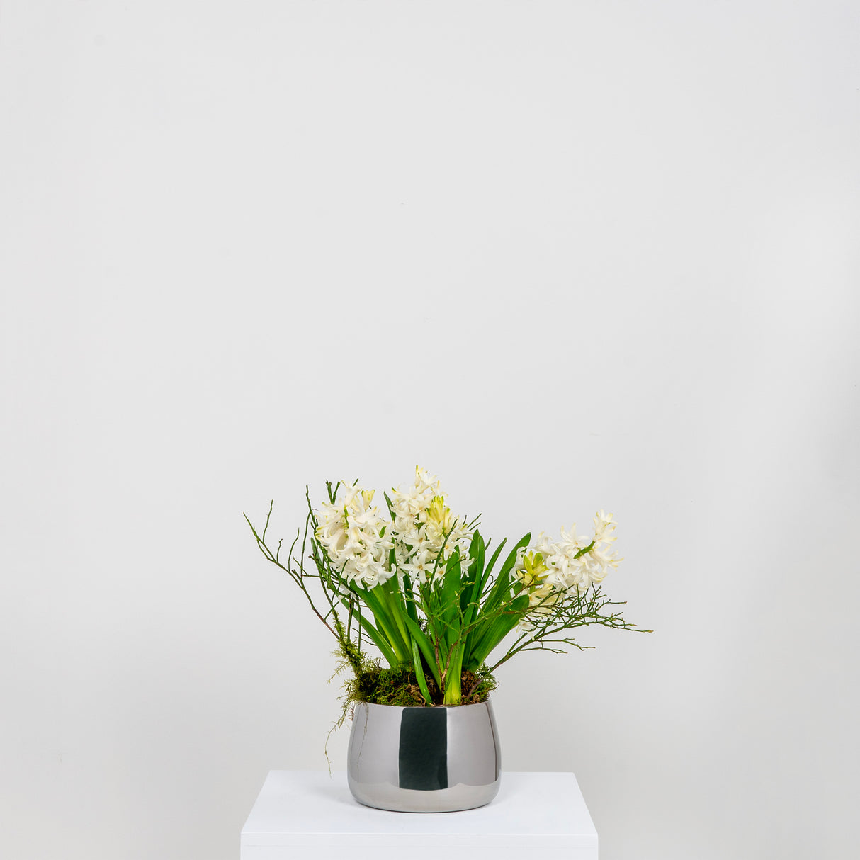 From The Anvil - Polished Marine SS (316) 12.5cm Hepworth Pot | Sku. 50761 | Trade Door Handles.