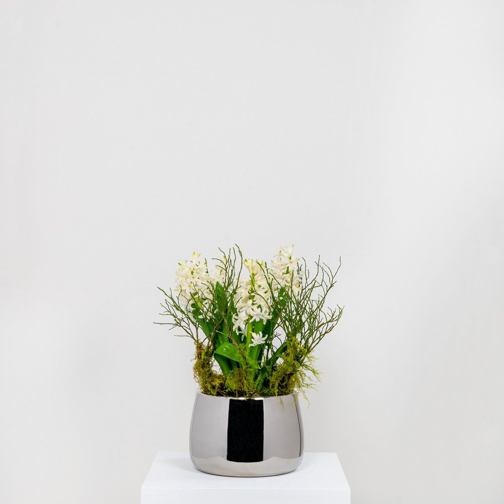 From The Anvil - Polished Marine SS (316) 16cm Hepworth Pot | Sku. 50762 | Trade Door Handles.