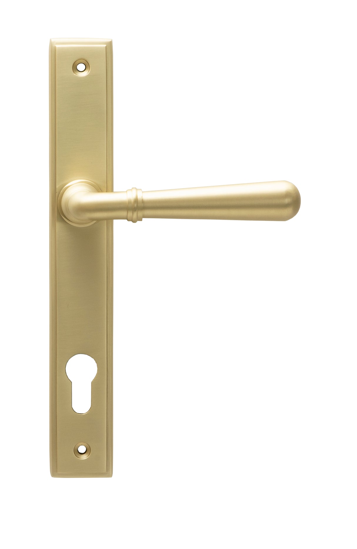 From The Anvil - Satin Brass Newbury Slimline Lever Espag. Lock Set | Sku. 50851 | Trade Door Handles.