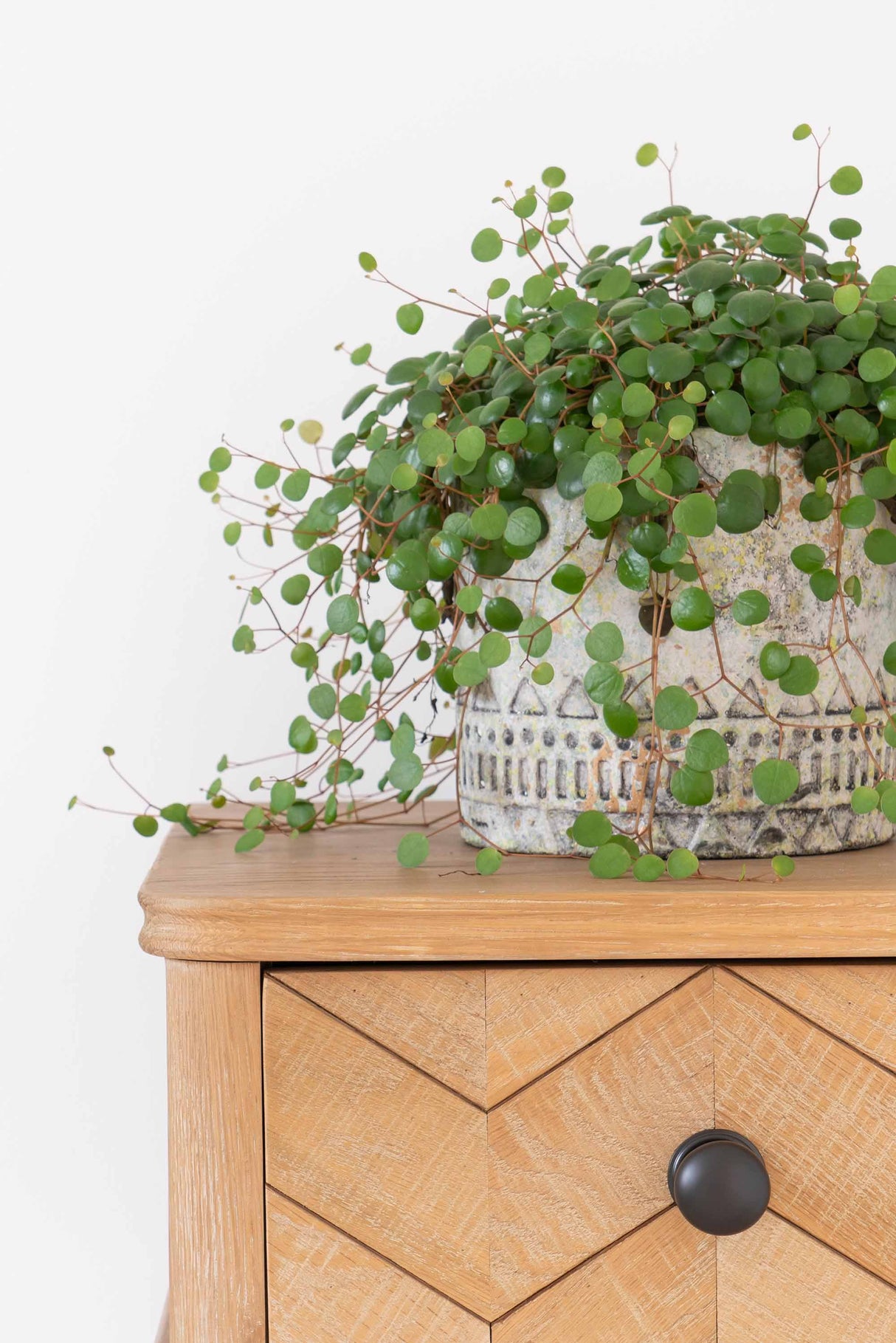 From The Anvil - Aged Bronze Mushroom Cabinet Knob 38mm | Sku. 90344 | Trade Door Handles.