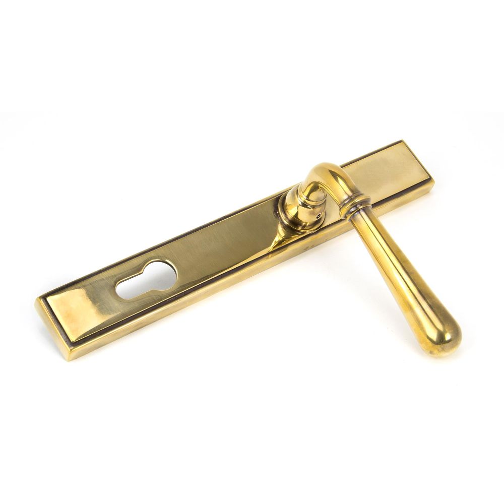 From The Anvil - Aged Brass Newbury Slimline Lever Espag. Lock Set | Sku. 91413 | Trade Door Handles.