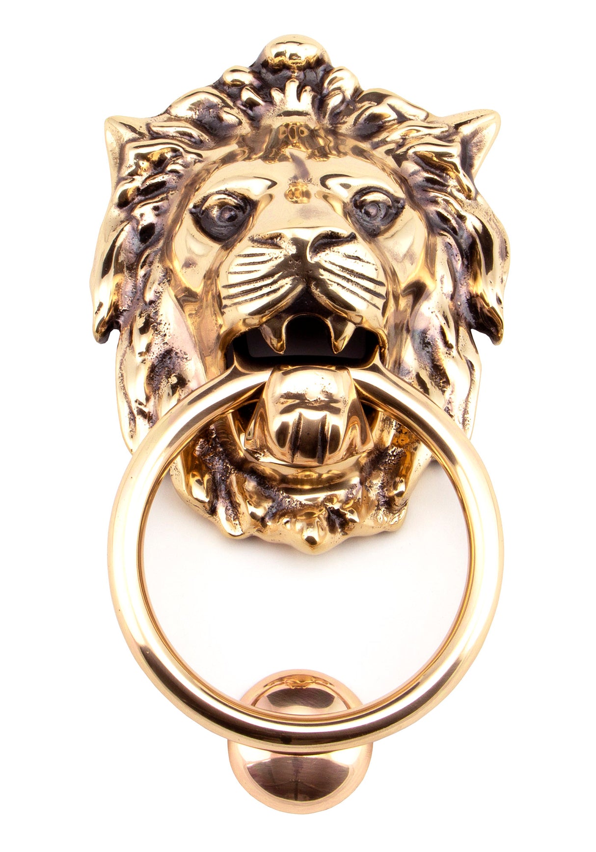 From The Anvil - Polished Bronze Lion Head Door Knocker | Sku. 91999 | Trade Door Handles.
