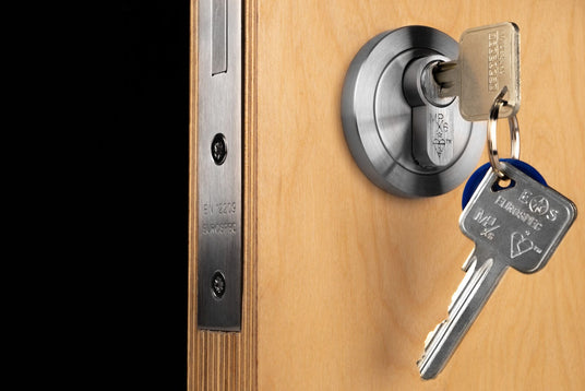 Euro Cylinder in a door