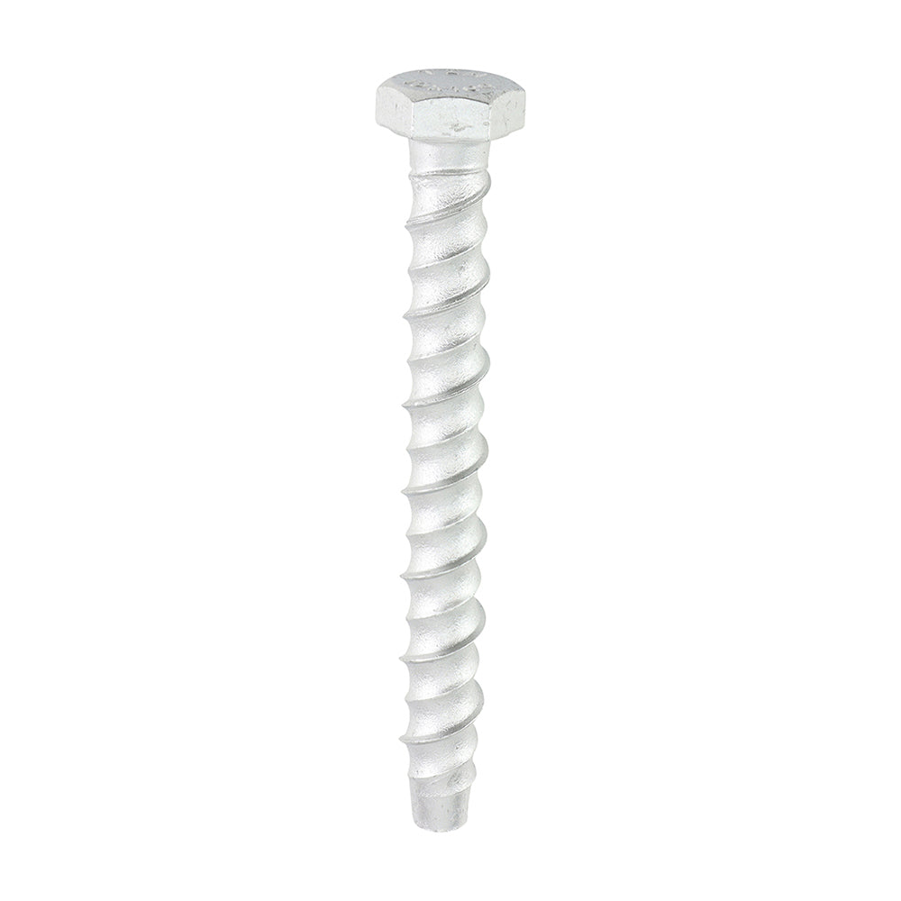 This is an image of Timco - Multi-Fix Masonry Bolts - Hex - Exterior - Silver 10.0 x 100mm - (50 PCS Box) MF10100