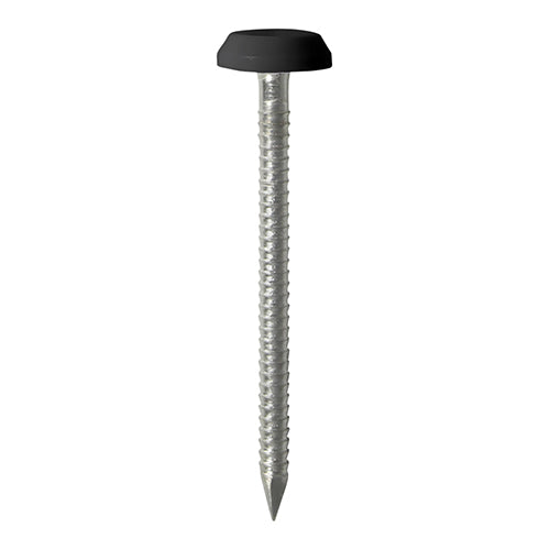 This is an image of Timco - Polymer Headed Pins - Stainless Steel - Black 50mm (25 PCS TIMpac) PN50BLP