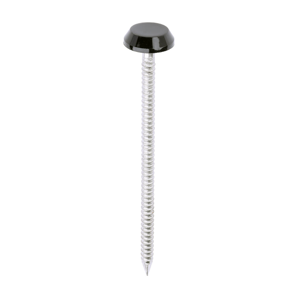 This is an image of Timco - Polymer Headed Nails - A4 Stainless Steel - Black 65mm (100 PCS Box) PN65BL
