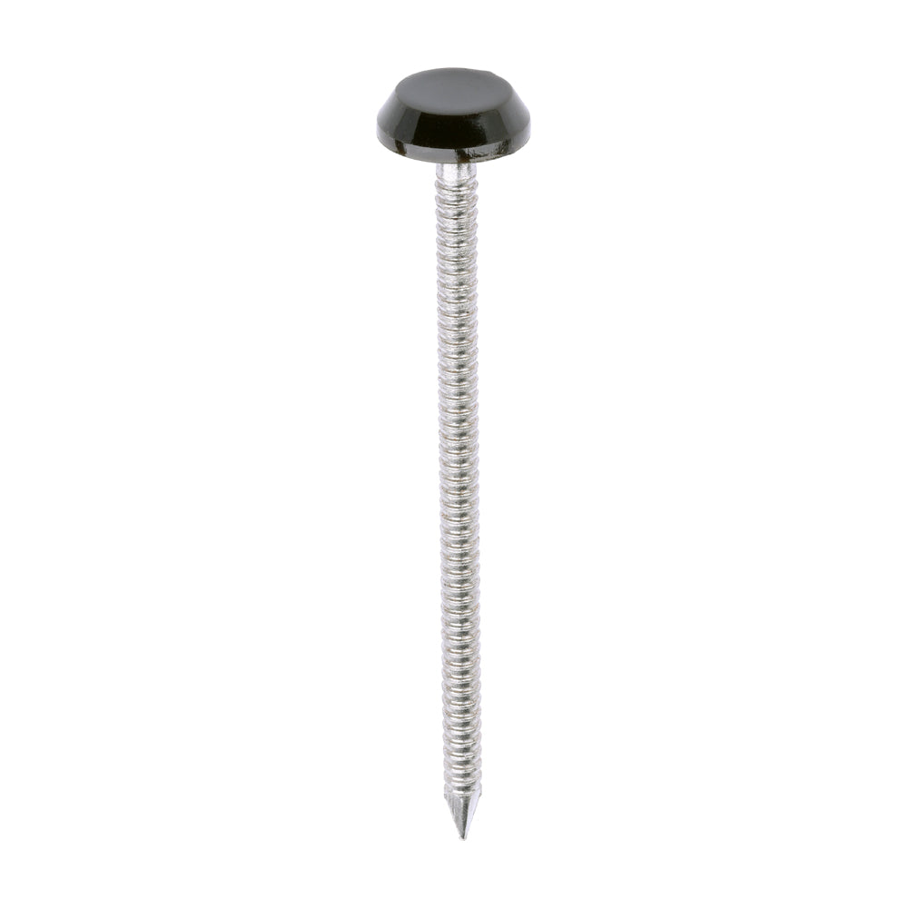 This is an image of Timco - Polymer Headed Nails - A4 Stainless Steel - Mahogany 65mm (100 PCS Box) PN65BR
