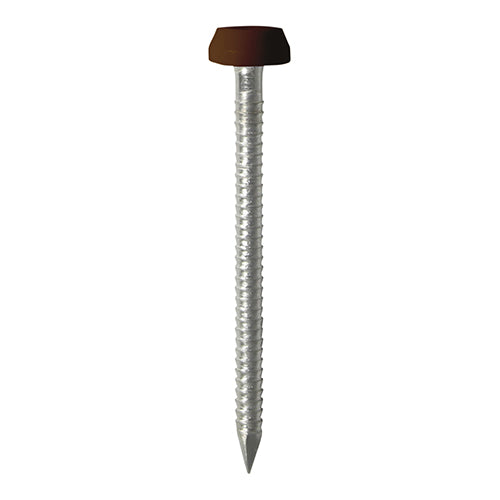 This is an image of Timco - Polymer Headed Pins - A4 Stainless Steel - Mahogany 25mm (250 PCS Box) PP25M