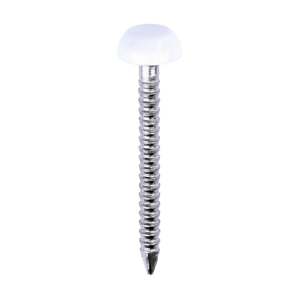 This is an image of Timco - Polymer Headed Pins - A4 Stainless Steel - White 25mm (250 PCS Box) PP25W