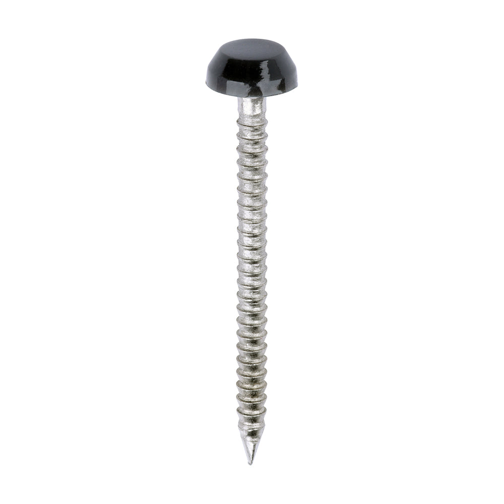 This is an image of Timco - Polymer Headed Pins - A4 Stainless Steel - Anthracite Grey 30mm (250 PCS Box) PP30AG