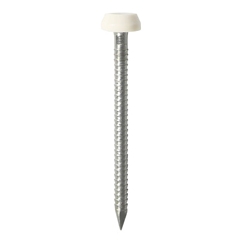 This is an image of Timco - Polymer Headed Pins - Stainless Steel - White 30mm (60 PCS TIMpac) PP30WP
