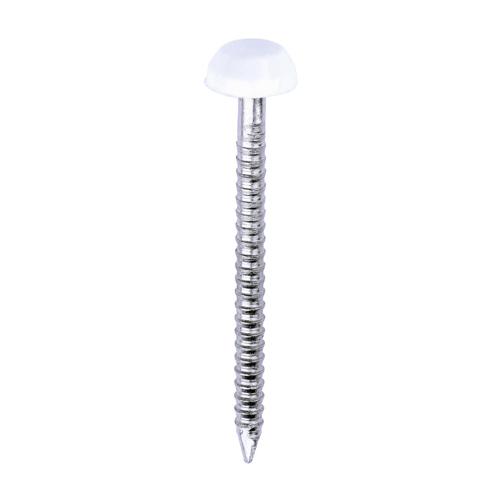 This is an image of Timco - Polymer Headed Pins - A4 Stainless Steel - White 30mm (250 PCS Box) PP30W
