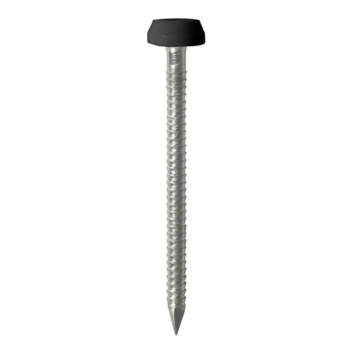 This is an image of Timco - Polymer Headed Pins - Stainless Steel - Black 40mm (50 PCS TIMpac) PP40BLP