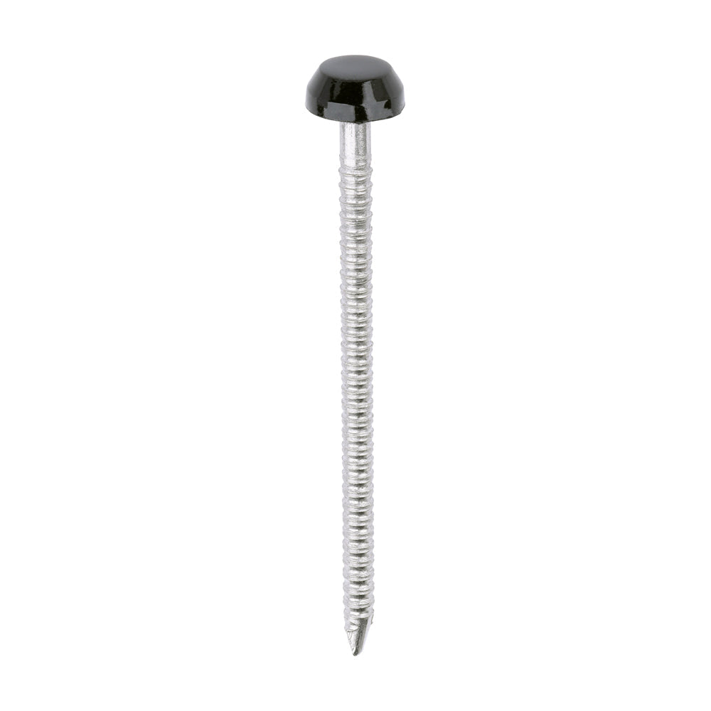 This is an image of Timco - Polymer Headed Pins - A4 Stainless Steel - Black 40mm (250 PCS Box) PP40BL