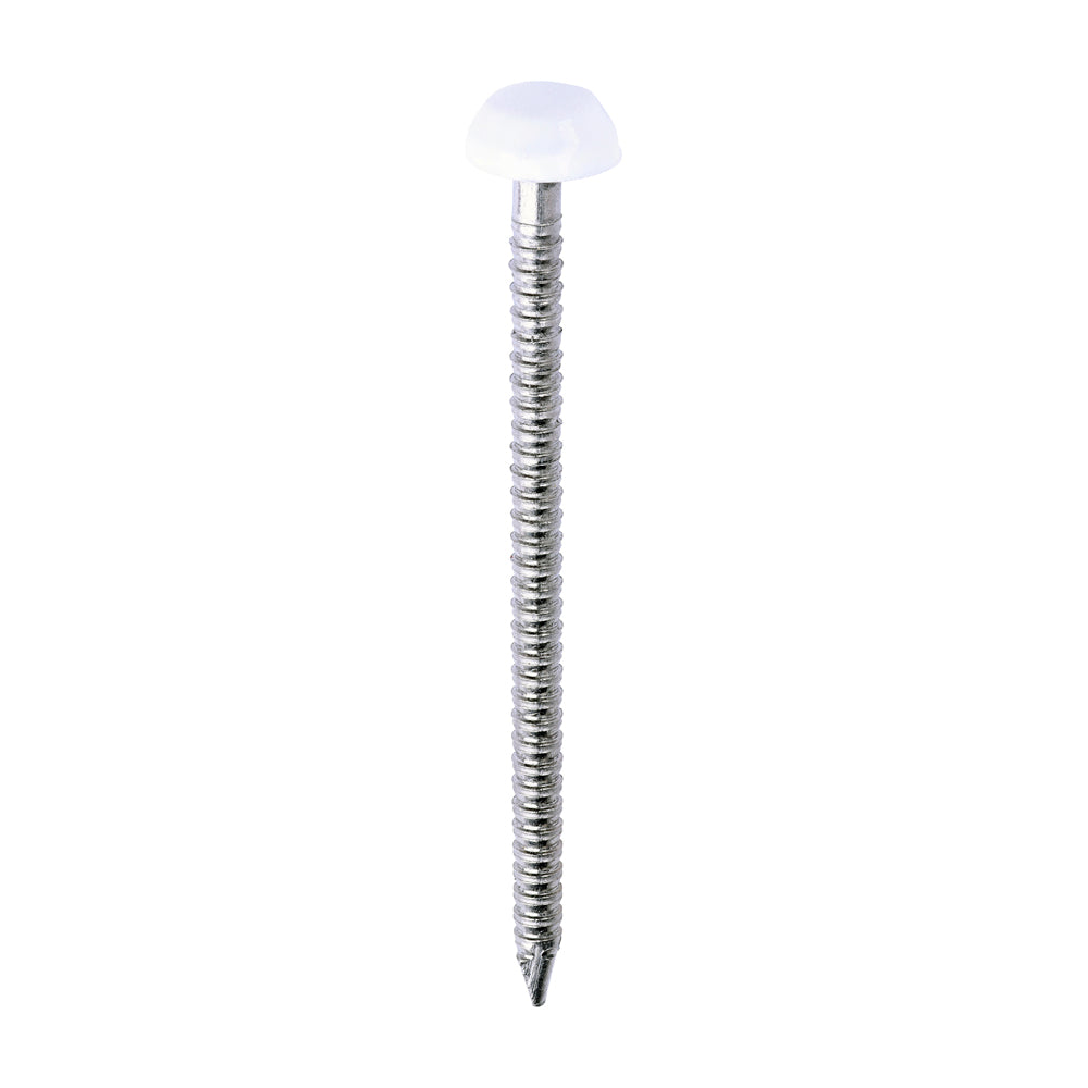 This is an image of Timco - Polymer Headed Pins - A4 Stainless Steel - White 40mm (250 PCS Box) PP40W
