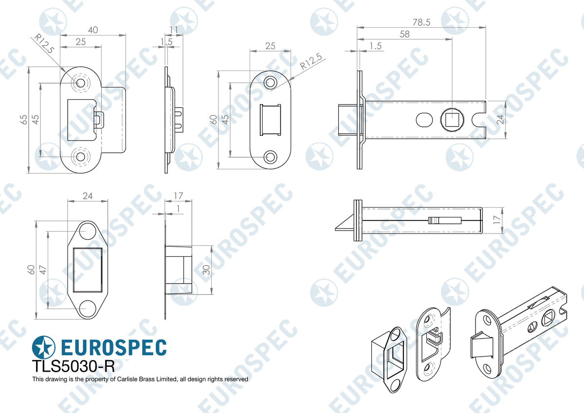 Eurospec - Heavy Sprung Tubular Latch 76mm - Bright Stainless Steel - Radius