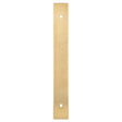 Alexander & Wilks Cabinet Hardware Satin Brass PVD / Cabinet Pull Backplate / 168x22x3mm Alexander & Wilks Rectangular Cabinet Pull Backplate - SatinBrass PVD - 168x22x3mm