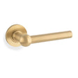 Alexander & Wilks Door Furniture Satin Brass PVD / Door Handles on Rose Alexander & Wilks - Siskin Lever on Rose - Satin Brass PVD