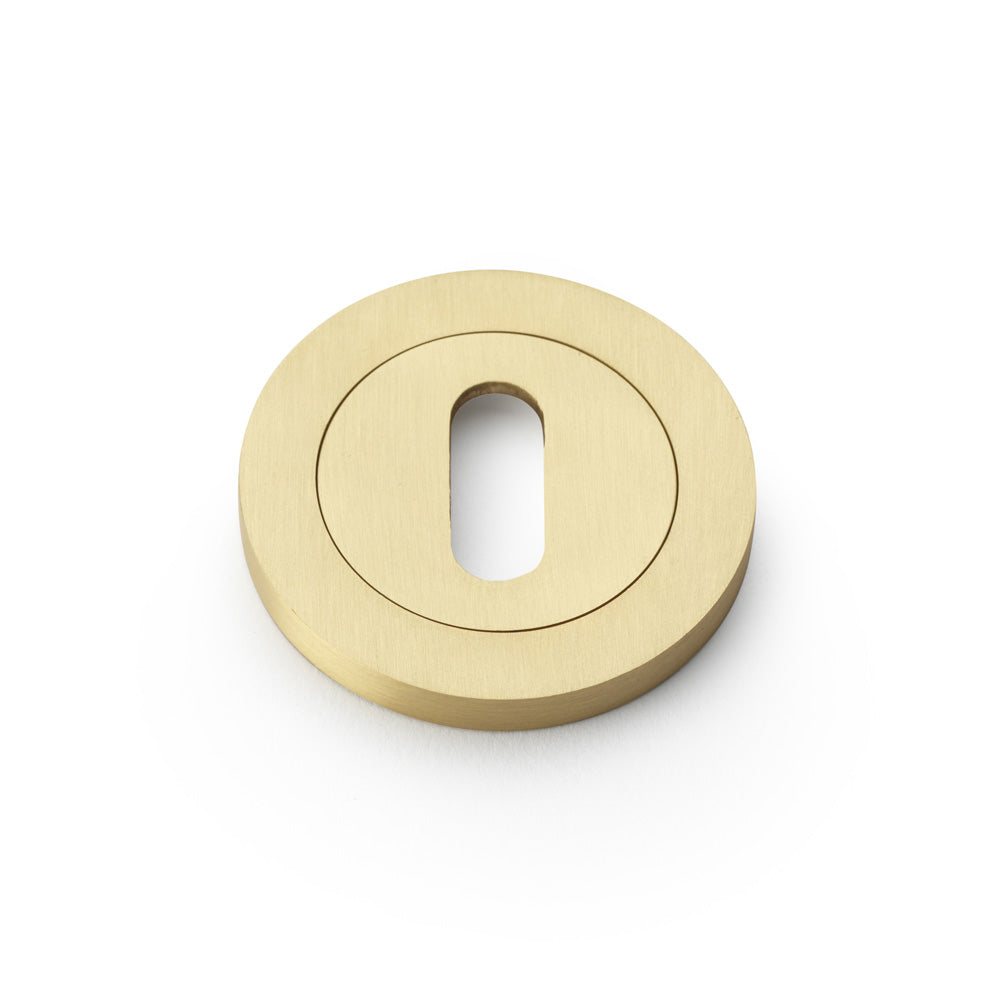 High quality image of Alexander & Wilks - Concealed Fix Escutcheon Standard Profile - Satin Brass | Sku. aw391sb | Trade Door Handles.