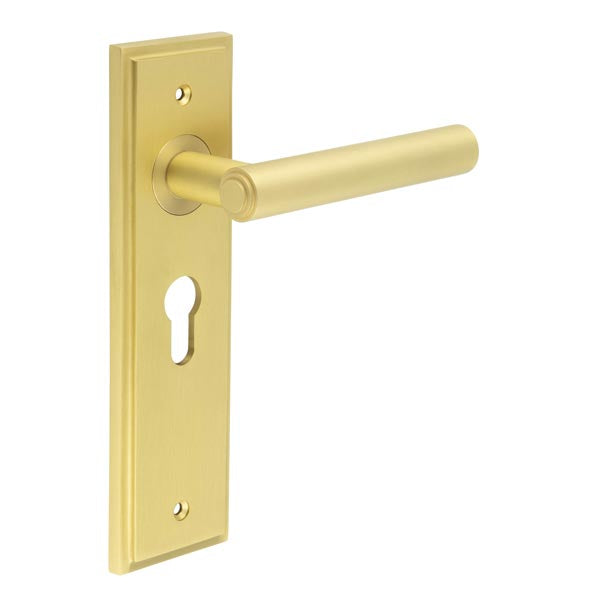 High quality image of Burlington - Richmond Door Handle Euro Backplate Satin Brass Sku. BUR45KIT245