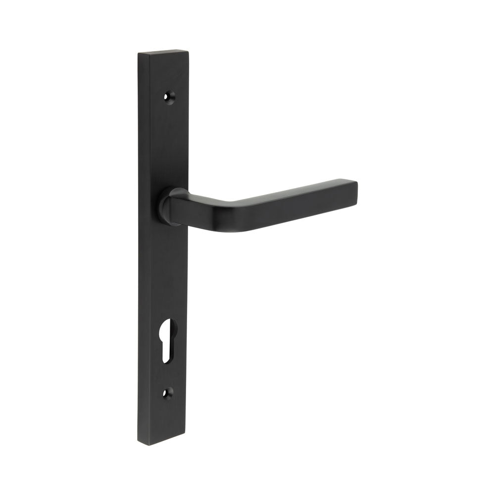 High quality image of CRES - CR-104 Black Multi Point Backplate Door Handle Sku. CR-104G4MB