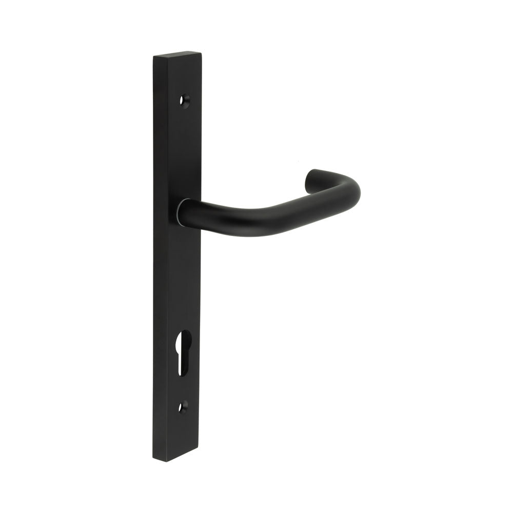 High quality image of CRES - CR-106 Black Multi Point Backplate Door Handle Sku. CR-106G4MB