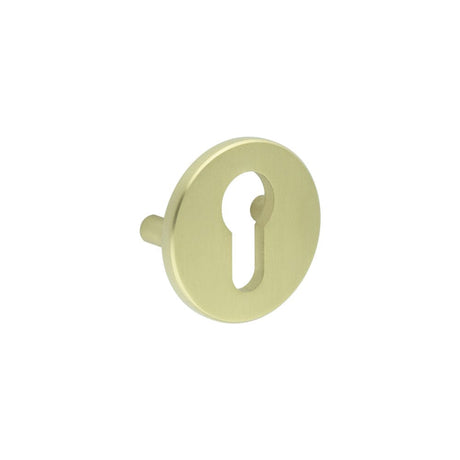 CRES Door Furniture Satin Brass / Euro Profile Escutcheons CRES - Satin Brass Euro Escutcheon Lug Fixed