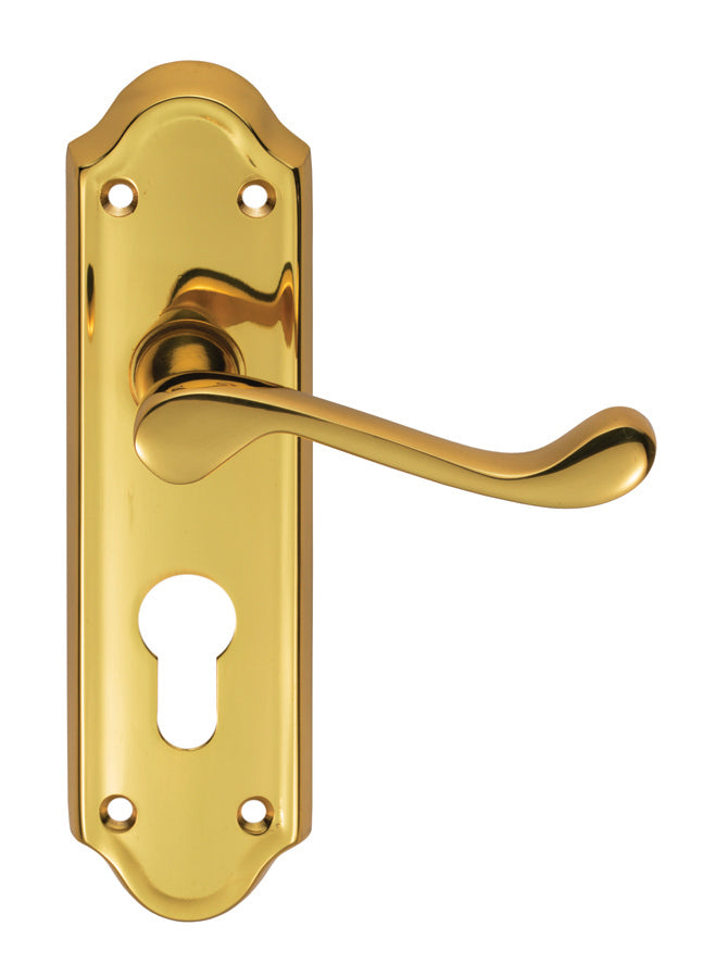 High quality image of Carlisle Brass - Ashtead Lever on Euro Lock Backplate - Polished Brass | Sku. dl17y | Trade Door Handles.