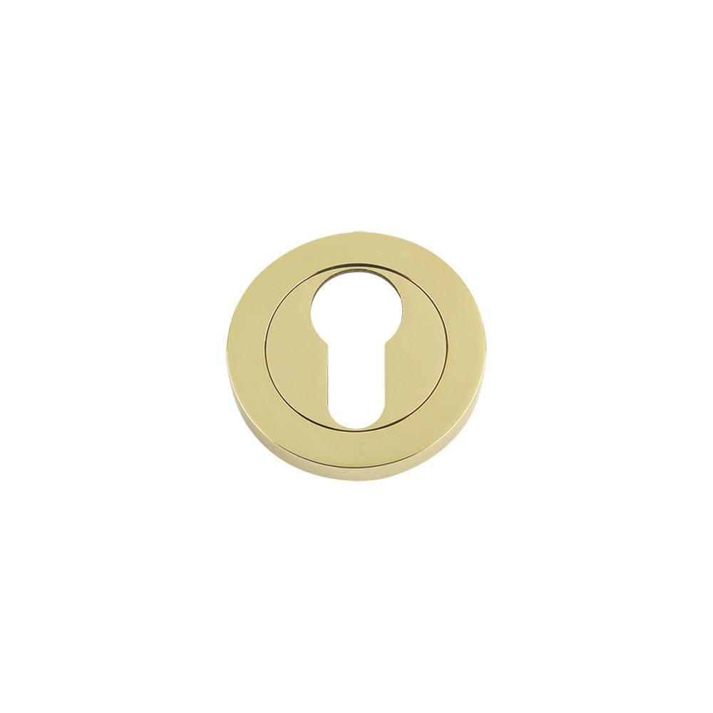 High quality image of the Fulton & Bray - Euro Profile Escutcheon 50 x 8mm - Polished Brass | Sku. fb001pb | available to order from Trade Door Handles.