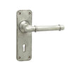 Frelan Hardware Door Furniture Pewter / Std. Lock Handles Frelan - Belfry Standard Lever Lock Handles on Backplate - Pewter