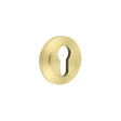 Frelan Hardware Door Furniture Satin Brass / Euro Profile Escutcheons Frelan - Burlington Euro Profile Escutcheons Chamfered Rose Satin Brass