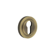 Frelan Hardware Door Furniture Antique Brass / Euro Profile Escutcheons Frelan - Burlington Euro Profile Escutcheons Knurled Rose Antique Brass