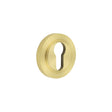 Frelan Hardware Door Furniture Satin Brass / Euro Profile Escutcheons Frelan - Burlington Euro Profile Escutcheons Knurled Rose Satin Brass