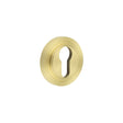Frelan Hardware Door Furniture Satin Brass / Euro Profile Escutcheons Frelan - Burlington Euro Profile Escutcheons Reeded Rose Satin Brass