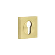 Frelan Hardware Door Furniture Satin Brass / Euro Profile Escutcheons Frelan - Burlington Euro Profile Escutcheons Square Plain Rose Satin Brass