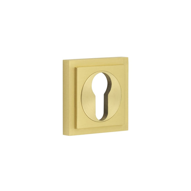 Frelan Hardware Door Furniture Satin Brass / Euro Profile Escutcheons Frelan - Burlington Euro Profile Escutcheons Square Stepped Rose Satin Brass