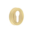 Frelan Hardware Door Furniture Satin Brass / Euro Profile Escutcheons Frelan - Euro Profile Escutcheons - Satin Brass