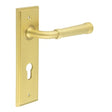Frelan Hardware Door Furniture Satin Brass / Euro Profile Lock Handles Frelan - Highgate Door Handle Din Euro Backplate Satin Brass