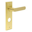 Frelan Hardware Door Furniture Satin Brass / Bathroom Lock Handles Frelan - Kensington Door Handle Din Bathroom Backplate Satin Brass